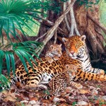 castorland-puzzel-3000-stuks-jaguars-in-de-jungle-300280