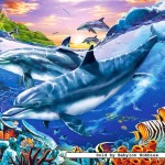 castorland-puzzel-3000-stuks-dolfijnenbaai-300259