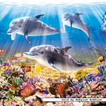 castorland-puzzel-500-stuks-dolfijnen-en-de-onderwaterwereld-51014