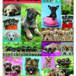 educa-puzzel-1000-stuks-keith-kimberlin-puppy-collage-14441